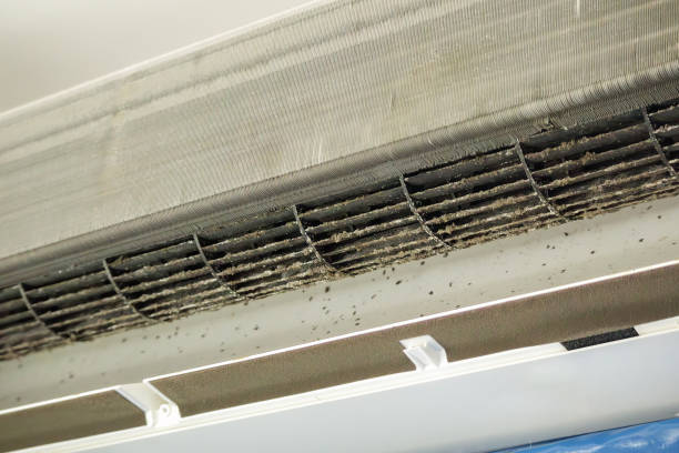 Best HVAC Duct Inspection Services  in Crowley, TX